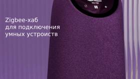 Что может колонка Маруся без подписки 