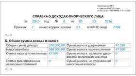 Что означает код 2510 в 2-НДФЛ в Магнит
