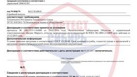 Что значит серийный выпуск в декларации соответствия в Магнит