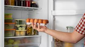 Как хранить продукты в морозилке? в Магнит