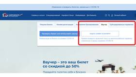 Как узнать срок действия паспорта для перелета с Аэрофлотом в Магнит