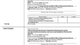 Как вернуть госпошлину юридическому лицу в Магнит