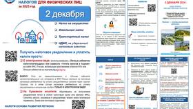 Как вернуть налог за 2024 год в Магнит