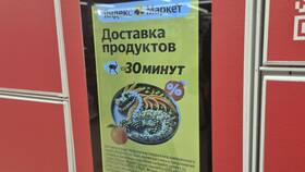 Как заказать в Splat на Яндекс Маркете в Магнит