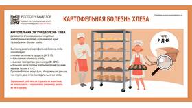 Картофельная болезнь хлеба. Что о ней нужно знать? в Магнит