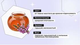 Лучший и худший мед в Магнит