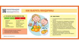 Мандарины: польза и вред для здоровья в Магнит