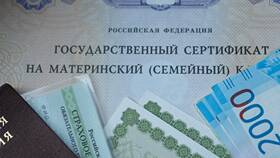 Материнский паспорт: что это такое в Магнит