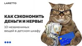 Почему не улучшается кошелек Wildberries в Магнит