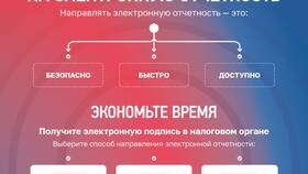 Последствия несвоевременной сдачи налоговой декларации в Магнит