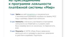 Программа лояльности платежной системы Мир в Магнит