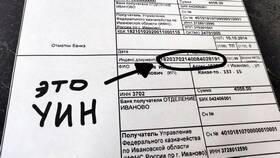 УИН: что это в платежном штрафе в Магнит