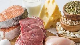 В каких продуктах содержится белок? Продукты, богатые белком в Магнит