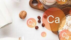 В каких продуктах содержится кальций - продукты богатые кальцием в Магнит