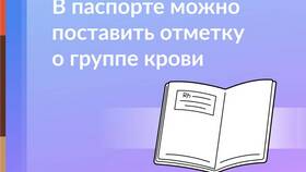 В паспорте не поставили прописку: что делать в Магнит