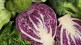 Вред и польза капусты и капустной кочерыжки, как выбрать капусту, какая капуста лучше в Магнит