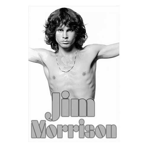 Постер СТ-Диалог Jim Morrison, МУЗ-314, бумага, 40х60 см в Магнит