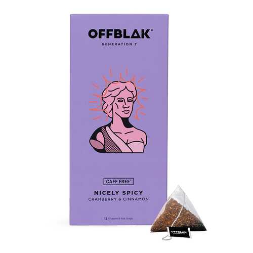 Чайный напиток OFFBLAK NICELY SPICY 12х2.5г Россия в Магнит