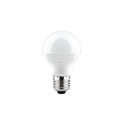 LED Globe 60 4,5W E27 230V 250Lm 2700K 28230 в Магнит